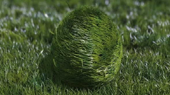 Bouncy Grass Ball Logo Reveal | Nature - VideoHive 9280907