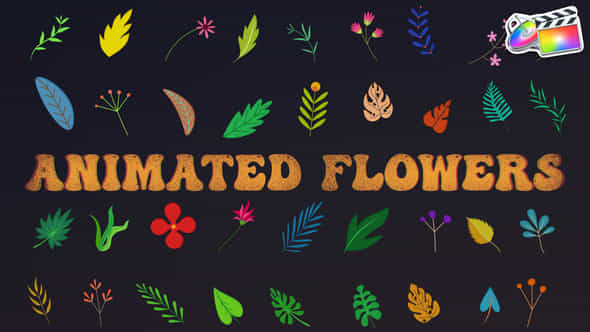 Animated Flowers for - VideoHive 37895285