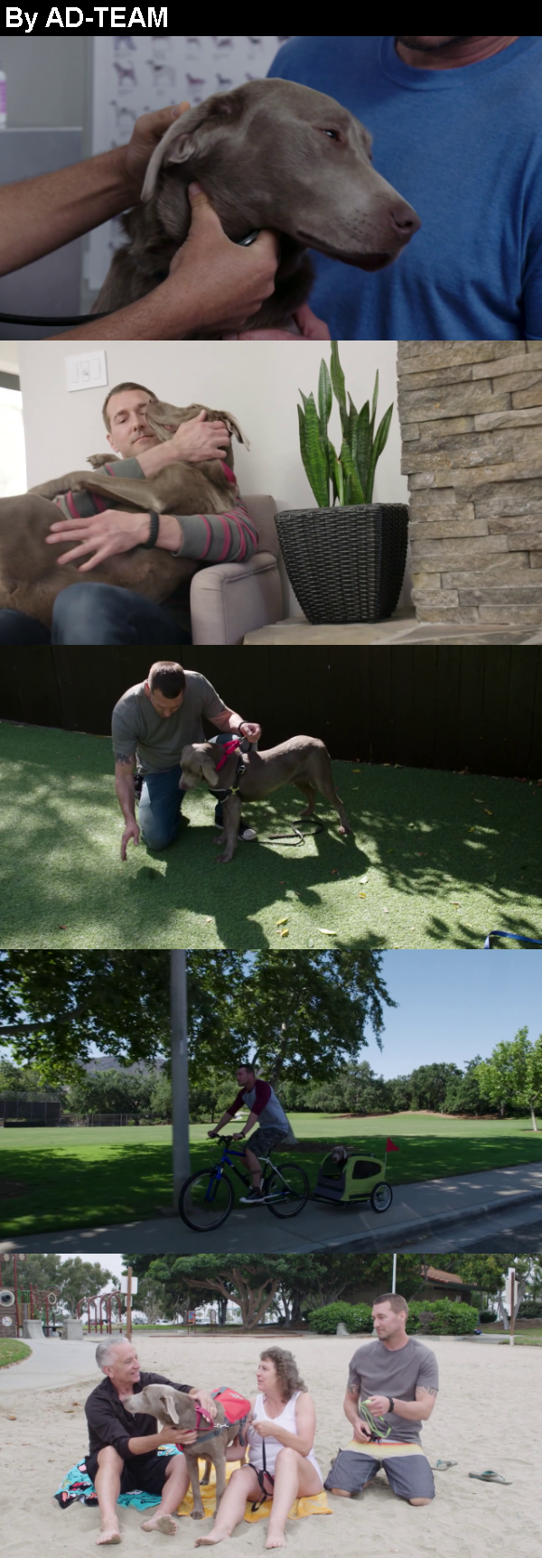 Lucky Dog S01E07 720p WEB x264 LiGATE