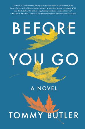 Before You Go A Novel