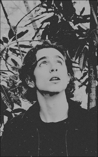 Timothée Chalamet MXjbSXeQ_o