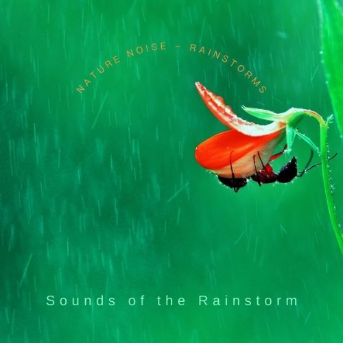 Sounds of the Rainstorm - Nature Noise – Rainstorms - 2022