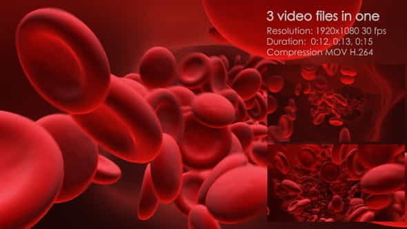 Erythrocytes Flow - VideoHive 22974786