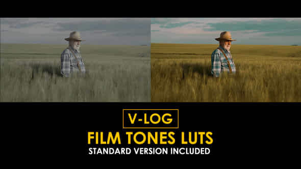 Vlog Film Tones And Standard Luts - VideoHive 51362908