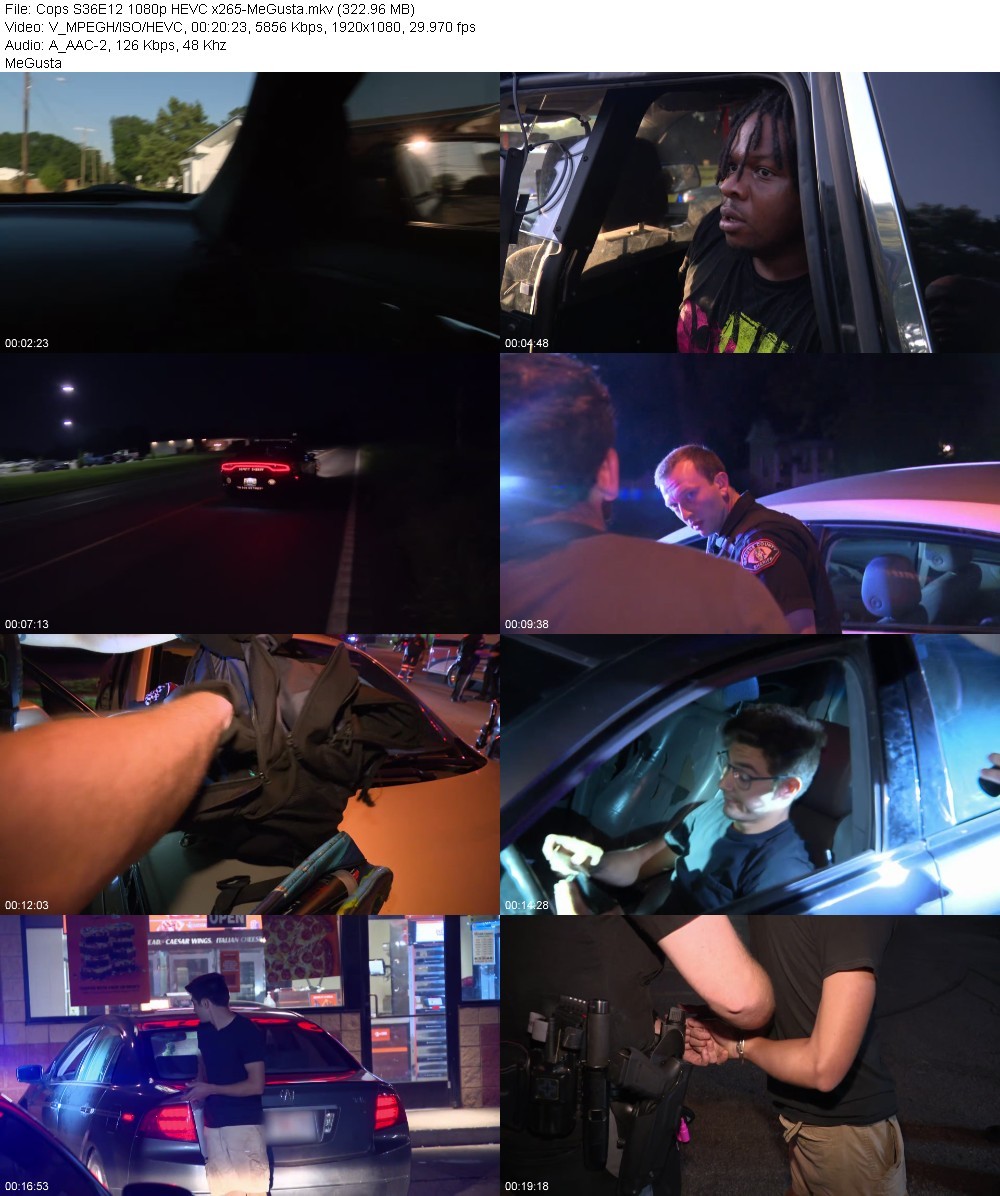 Cops S36E12 1080p HEVC x265-MeGusta