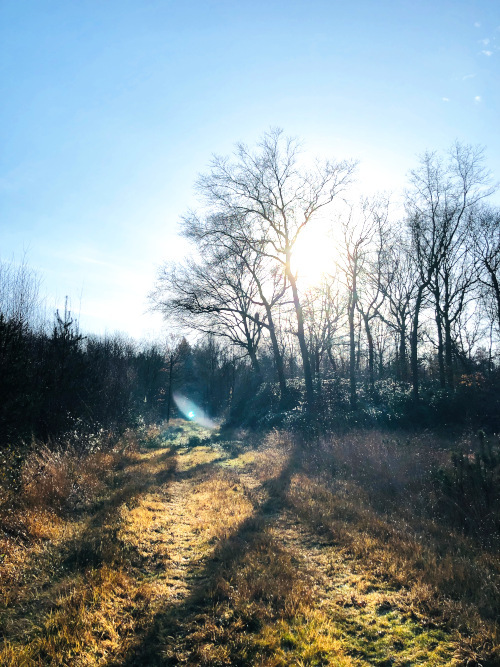 landscape, winter, hiking