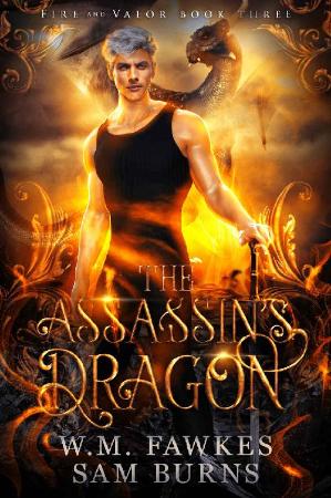 The Assassins Dragon- W  M  Fawkes