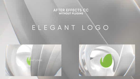 Elegant Shape Logo - VideoHive 40929943