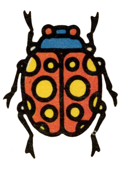 beetle sticker