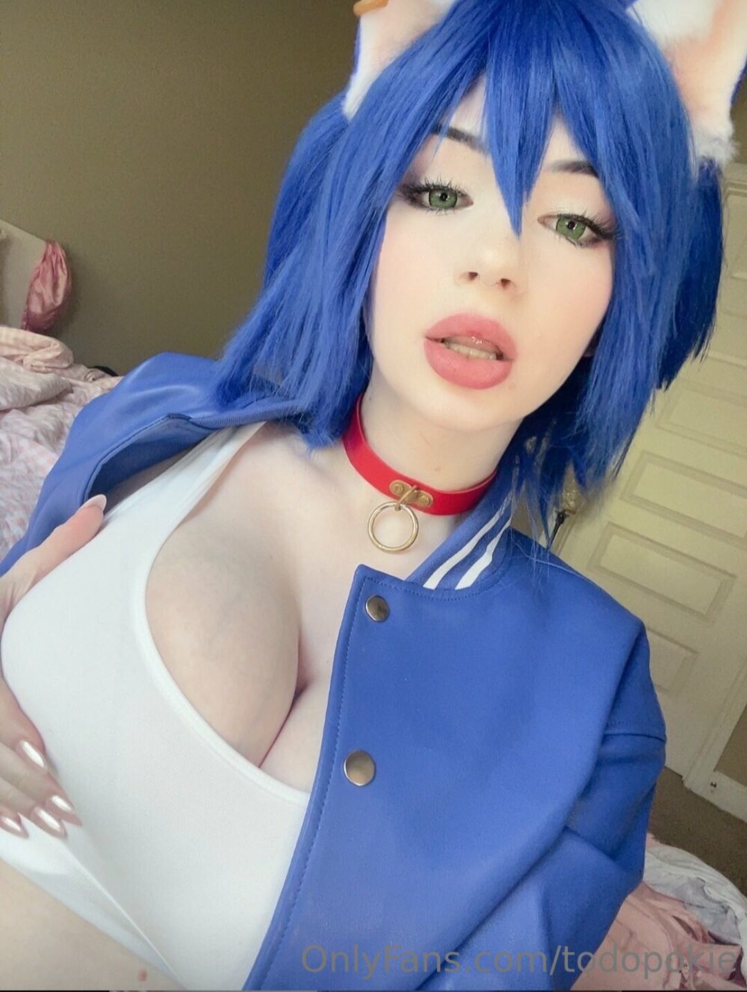 ᑕ ᑐ Todopokie - Sonic 2024