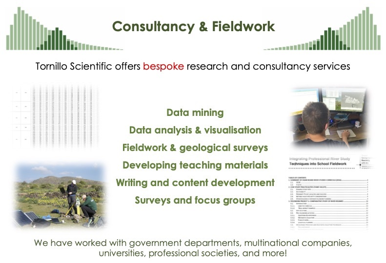 Consultancy & Fieldwork