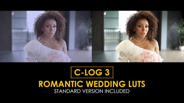 Clog3 Romantic Wedding And Standard Luts - VideoHive 51223411