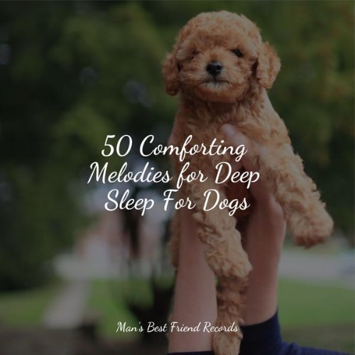 Music for Leaving Dogs Home Alone - 50 Comforting Melodies for Deep Sleep For Dogs - 2022