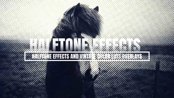 Halftone Effects And Vintage Color Luts Overlays - VideoHive 55664708