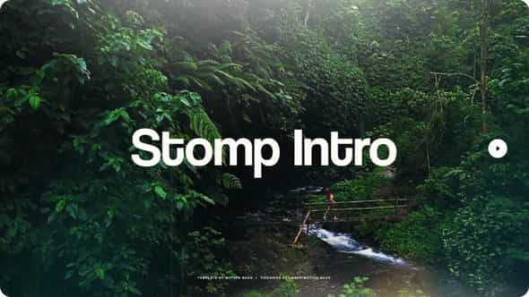 Stomp Intro - VideoHive 49344323