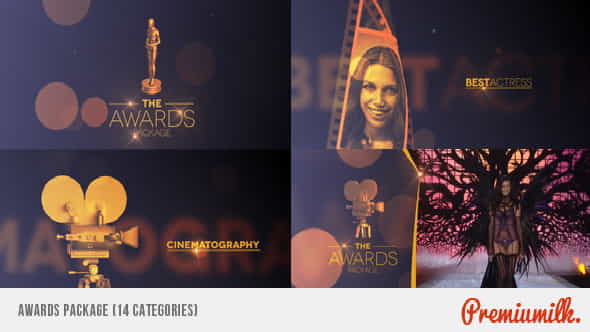 Awards Package - VideoHive 7053845
