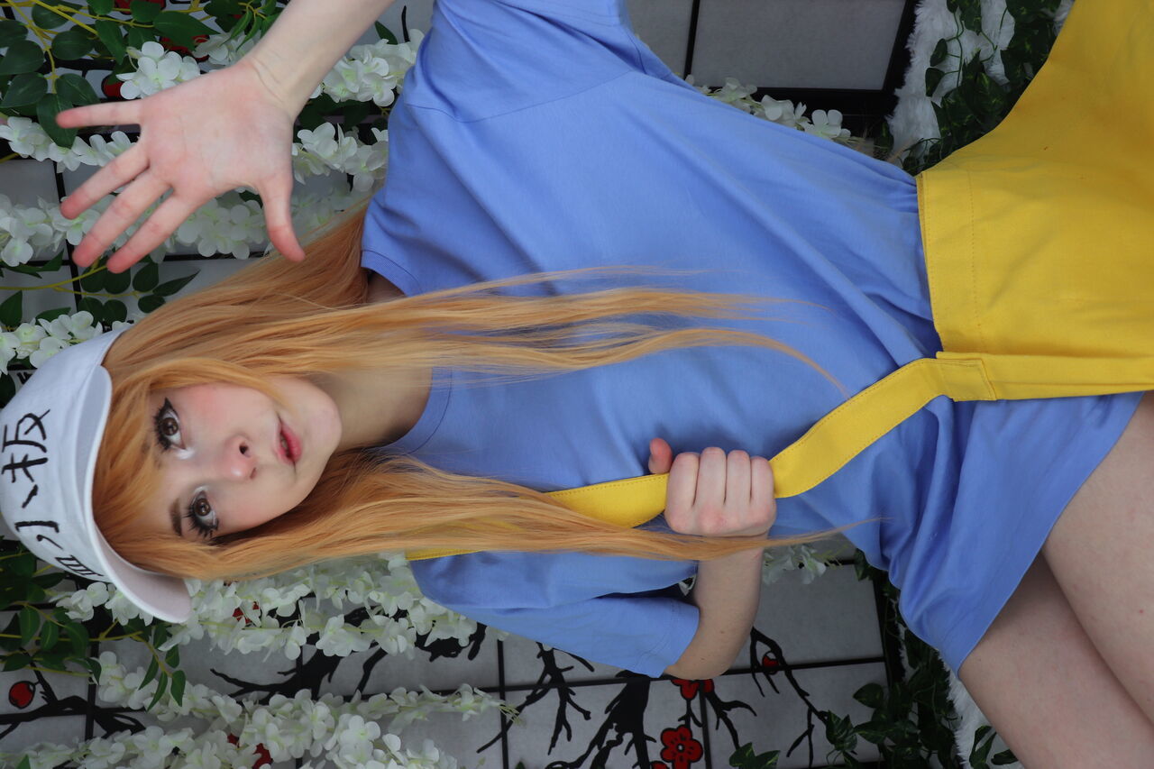 Melondoki - Platelet