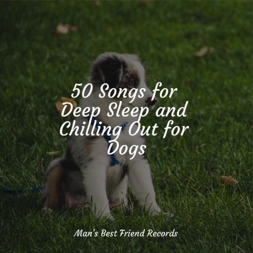 Relaxing Music for Dogs - 50 Songs for Deep Sleep and Chilling Out for Dogs - 2022
