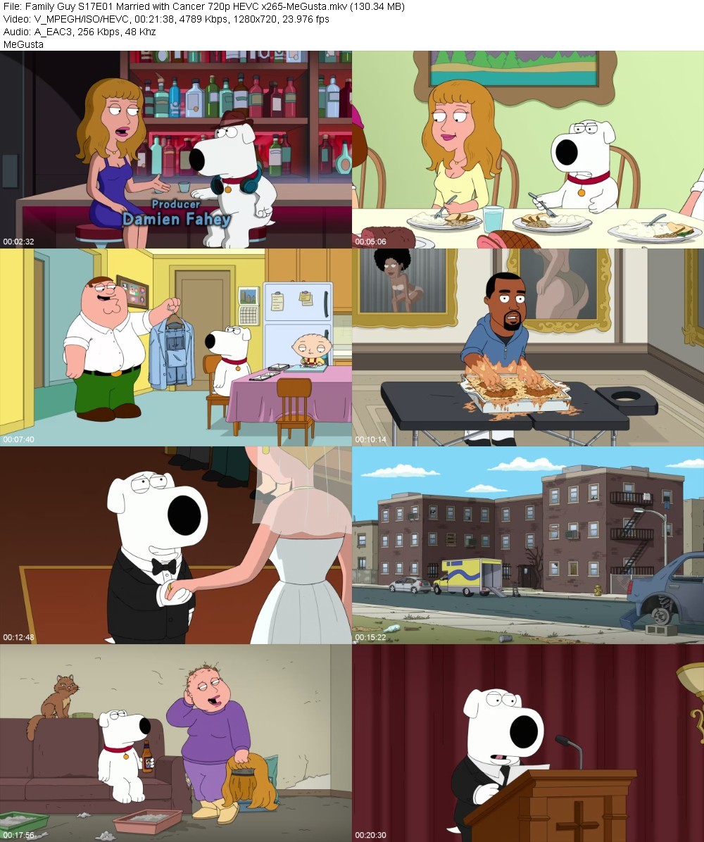 Family Guy S17E01 Married with Cancer 720p HEVC x265-MeGusta