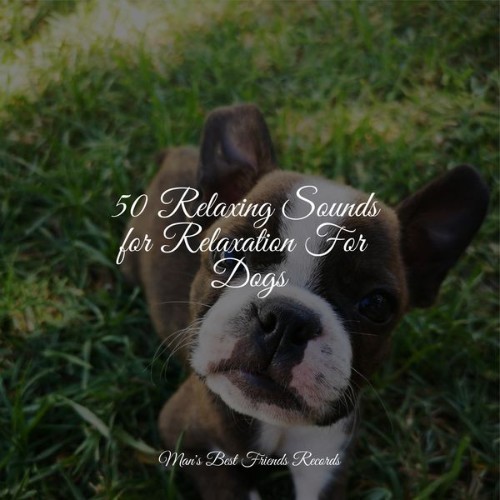 Official Pet Care Collection - 50 Relaxing Sounds for Relaxation For Dogs - 2022