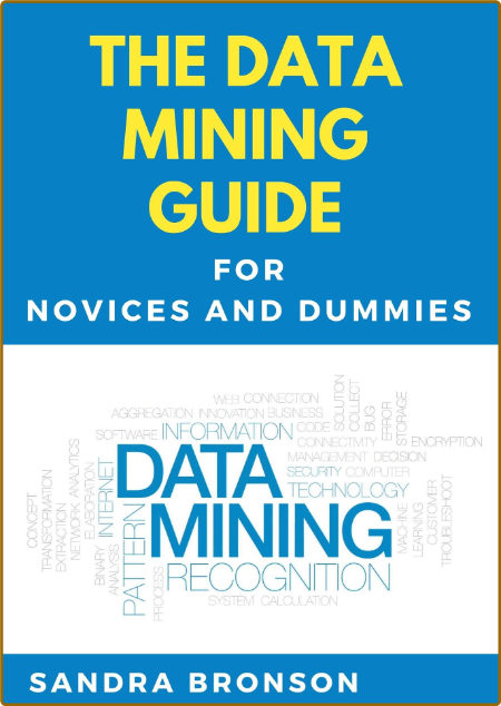 The Data Mining Guide For Novices And Dummies Bronson Sandra