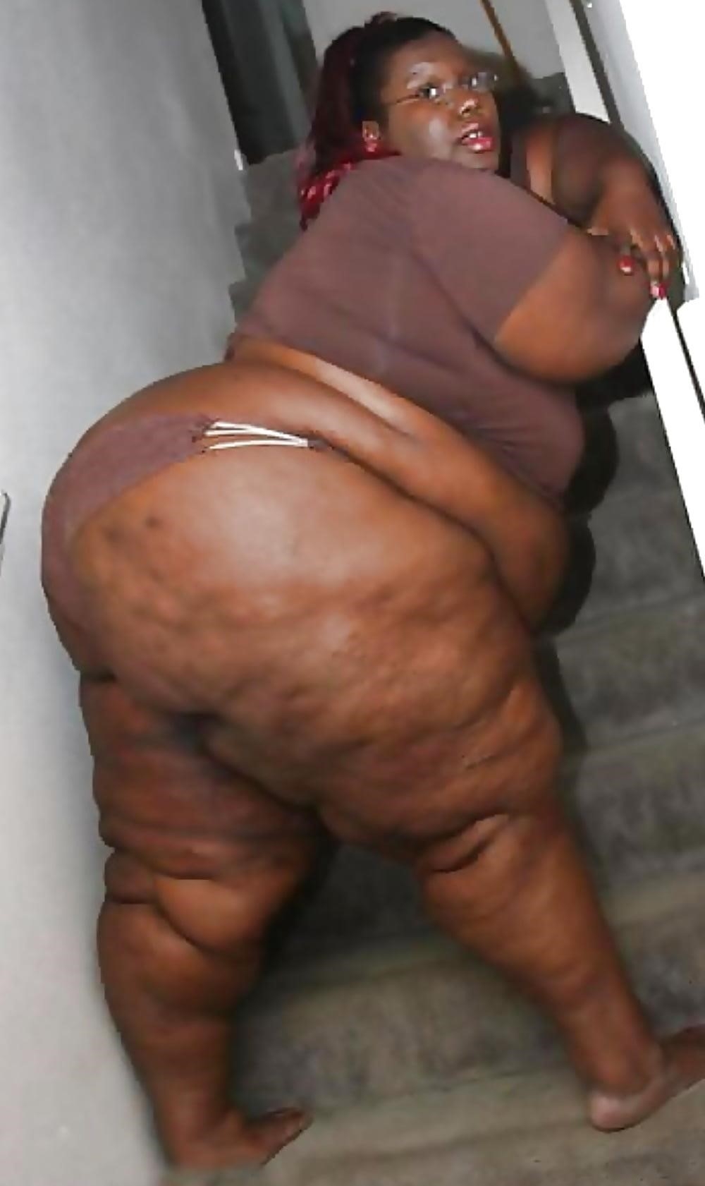 That ebony fat jiggly booty tho