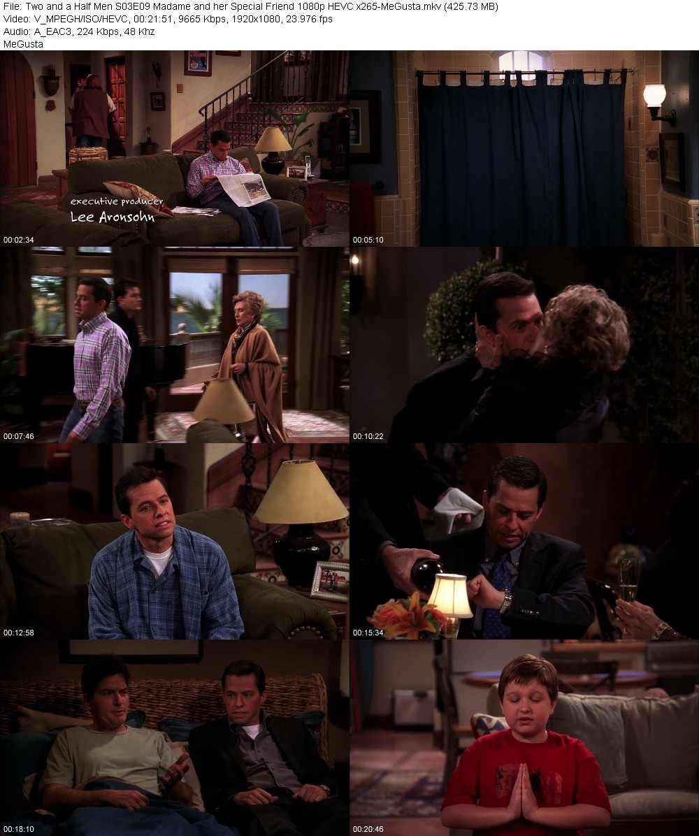 Two and a Half Men S03E09 Madame and her Special Friend 1080p HEVC x265-MeGusta