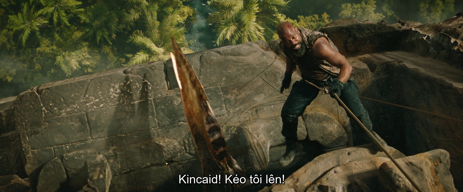7NHzvSaQ_o.png