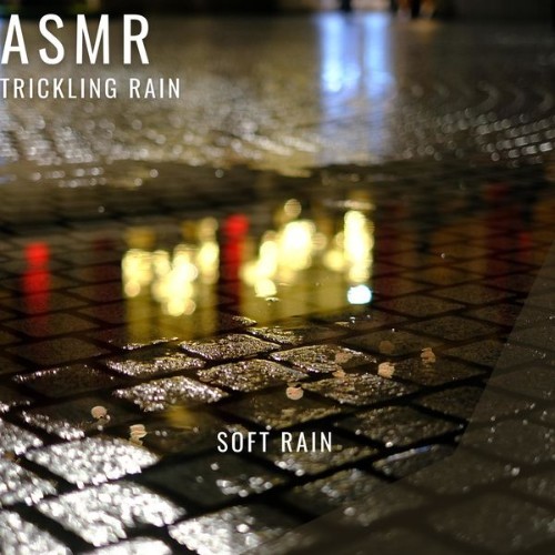 ASMR Trickling Rain - Soft Rain - 2022