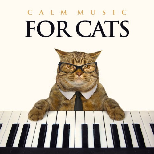 Cat Music - Calm Music For Cats Relaxing Piano Background Music For Cats, Music For Pets, Pet Rel...