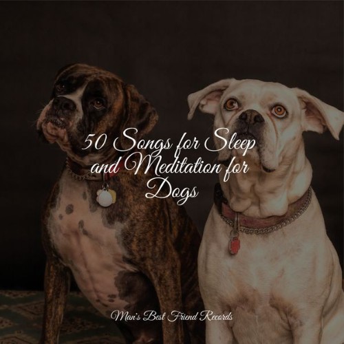 Dog Music Club - 50 Songs for Sleep and Meditation for Dogs - 2022