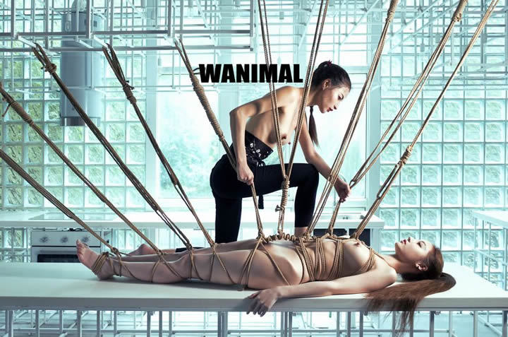 WANIMAL王动官方2017年6月VIP精选作品集1(26)