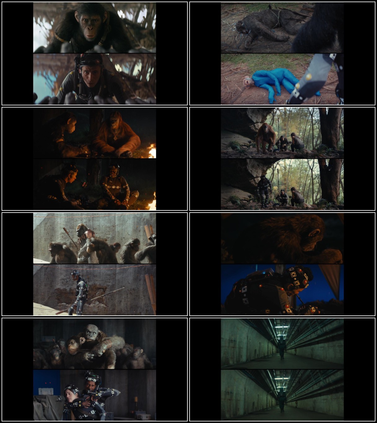 Kingdom Of The Planet Of The Apes (2024) ALTERNATIVE CUT 720p BluRay x264-ROEN Qgm6QQS9_o