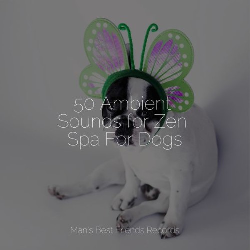 Pet Care Club - 50 Ambient Sounds for Zen Spa For Dogs - 2022