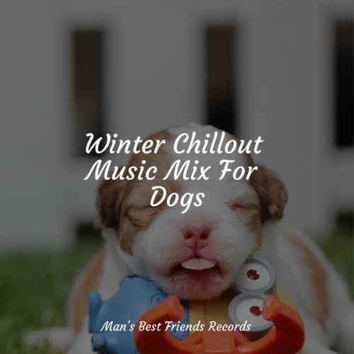 Music for Dog's Ears - Winter Chillout Music Mix For Dogs - 2022