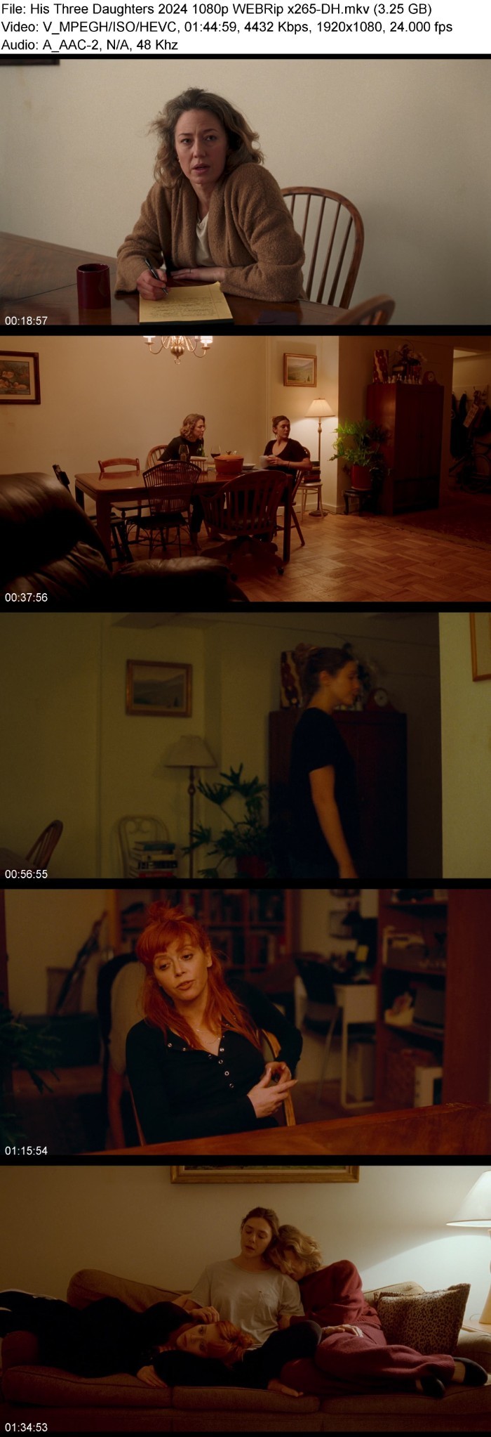 His Three Daughters (2024) 1080p WEBRip x265-DH D6iPKnfq_o