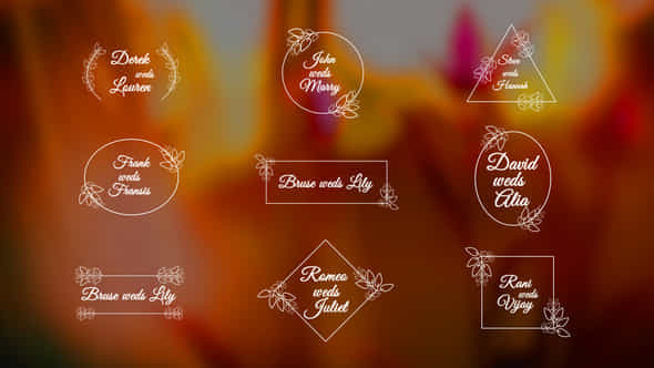 Wedding Titles - VideoHive 45021587