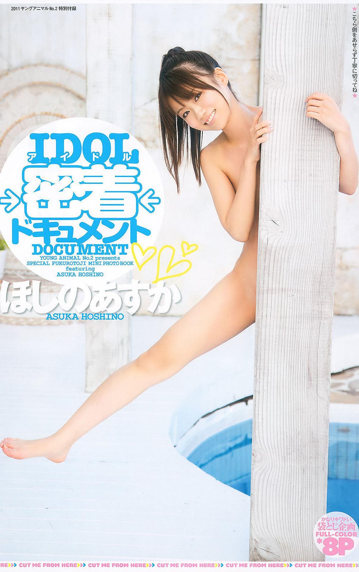 Asuka Hoshino ほしのあすか, Young Animal 2011 No.02 (ヤングアニマル 2011年2号)(25)
