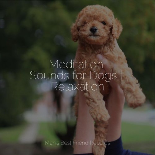 Dog Music Club - Meditation Sounds for Dogs  Relaxation - 2022