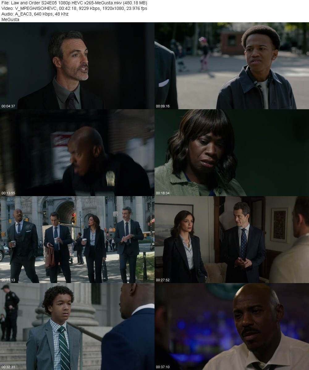 Law and Order S24E05 1080p HEVC x265-MeGusta