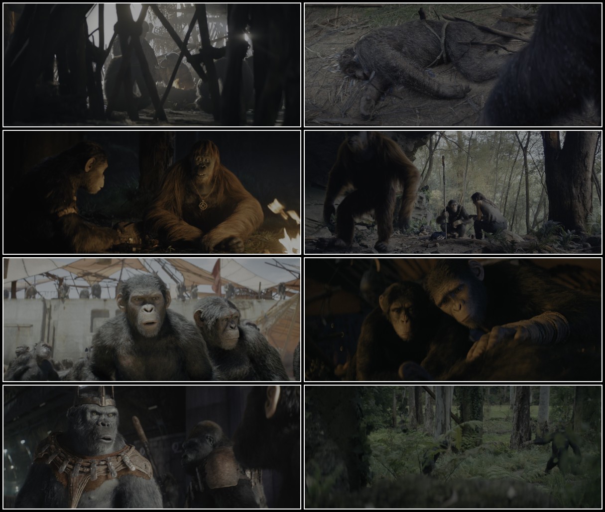 Kingdom Of The Planet Of The Apes (2024) 2160p WEB-DL DV HDR MP4 DDP Atmos 5 1 H 2... BDLjBjL8_o