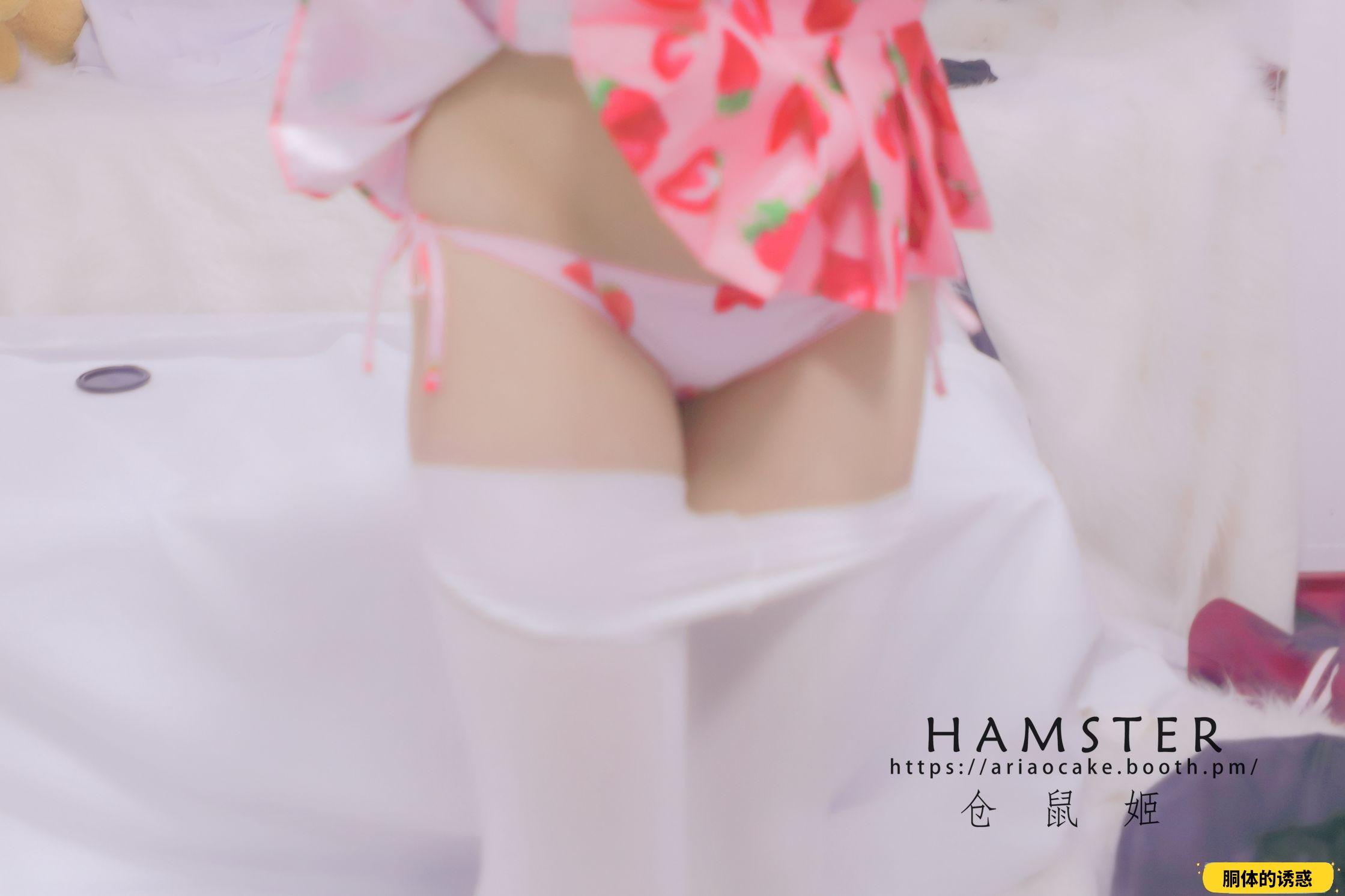 HAMSTERS 仓鼠姬 - NO.005 VOL.02 居家女友2 [34P-38MB]