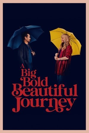A Big Bold Beautiful Journey 2025 720p 1080p 4K WEBRip