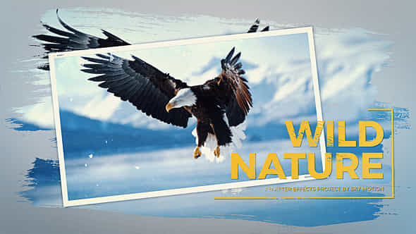 Wild Nature Slideshow - VideoHive 20080773