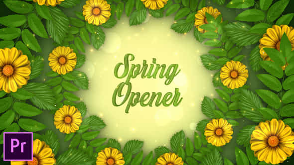 Spring Opener - - VideoHive 38303588