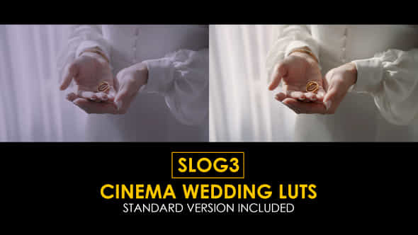 Slog3 Cinema Wedding And Standard Color Luts - VideoHive 48800899