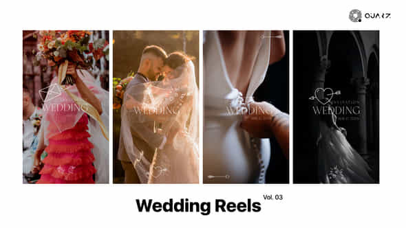 Wedding Reels Vol 03 - VideoHive 49249732