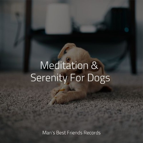 Music for Dogs Collective - Meditation & Serenity For Dogs - 2022