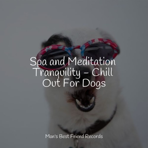 Music for Dogs Collective - Spa and Meditation Tranquility - Chill Out For Dogs - 2022