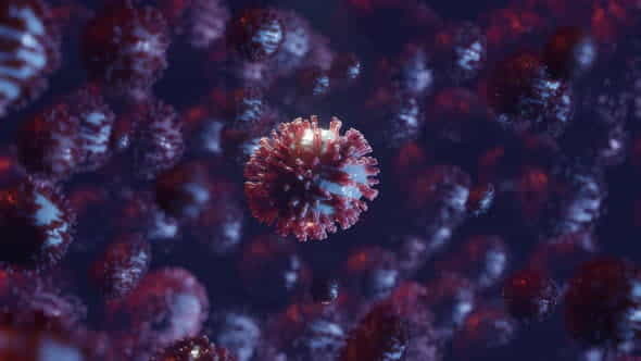 Coronavirus Virus Bacteria or Other - VideoHive 26117257